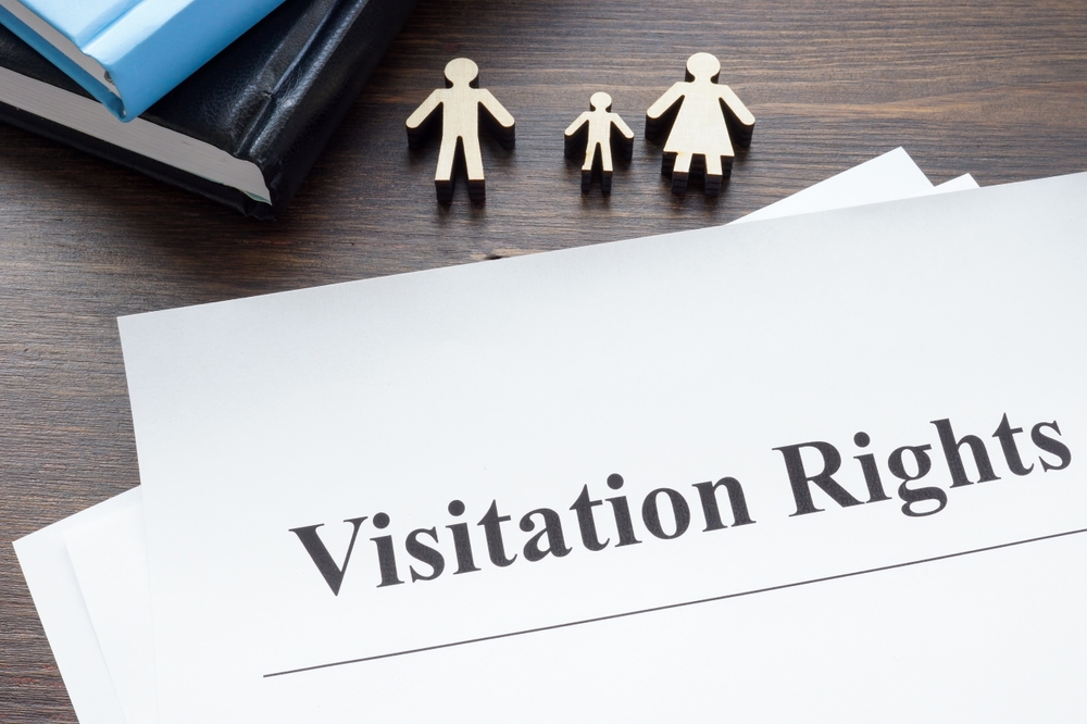 Visitation rights documents, books and family figures.