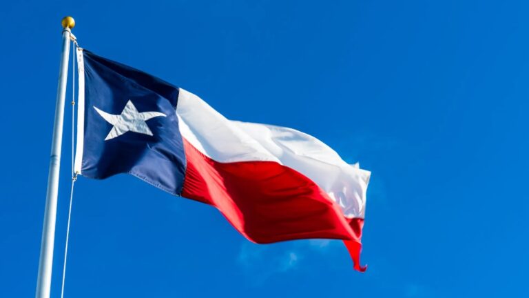 Texas State Flag