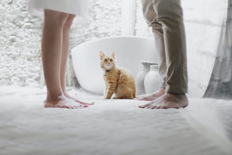 A ginger cat sits on a white carpet between the bare feet of two standing people in a bright room with a bathtub and a vase in the background, reminiscent of the calm before an emotional storm like an online affair or a divorce in Texas.