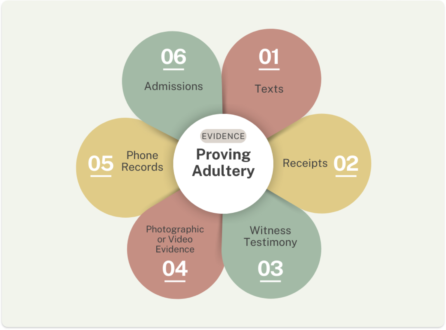 A flower-shaped infographic titled "Proving Adultery" with six labeled petals: Texts, Receipts, Witness Testimony, Photographic or Video Evidence, Phone Records, and Admissions. This visual aid simplifies the complex task of gathering evidence for a cheating divorce settlement.